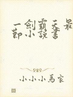 一剑霸天最新章节小说书