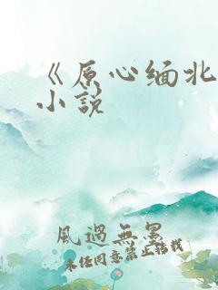 《原心缅北》的小说