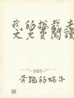 我的总裁老婆全文免费阅读