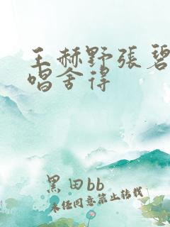 王赫野张碧晨合唱舍得