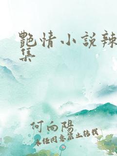 艳情小说辣文合集