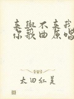 来与不来我都等你歌曲原唱