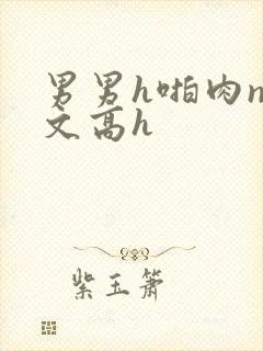 男男h啪肉np文高h