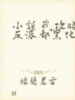 小说 我攻略的反派都黑化了