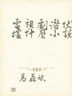 电视剧潜伏是根据什么小说改编的