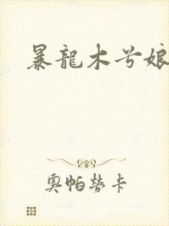 暴龙木兮娘