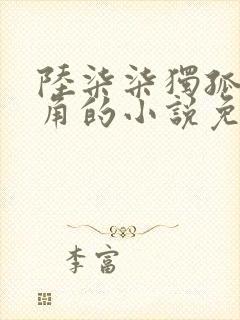 陆柒柒独孤正主角的小说免费阅读