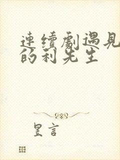 连续剧遇见爱情的利先生