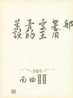 叶青云是那部小说的主角