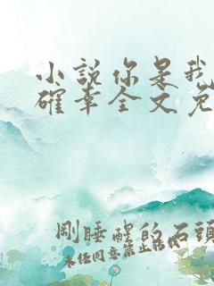 小说你是我的小确幸全文免费阅读