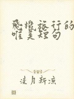 飞机旅行的句子唯美短句