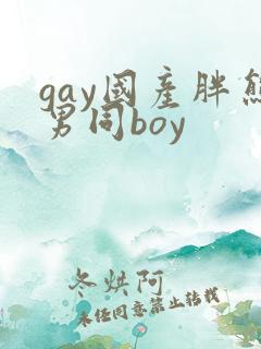 gay国产胖熊男同boy