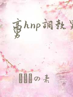 高hnp调教男男