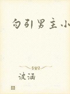 勾引男主小说h