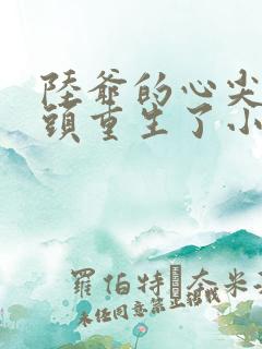 陆爷的心尖小丫头重生了小说