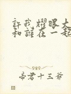 许我耀眼大结局和谁在一起了