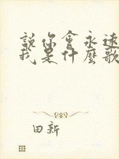 说你会永远陪着我是什么歌的歌词