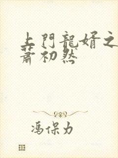 上门龙婿之叶辰萧初然