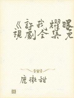 《许我耀眼》电视剧全集免费观看