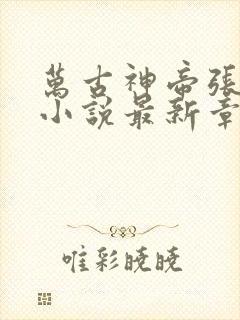 万古神帝张若尘小说最新章节在线