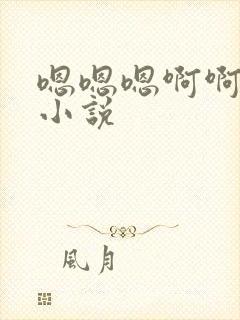 嗯嗯嗯啊啊哦哦小说