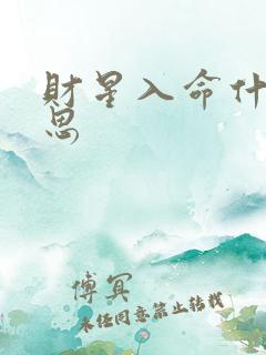 财星入命什么意思