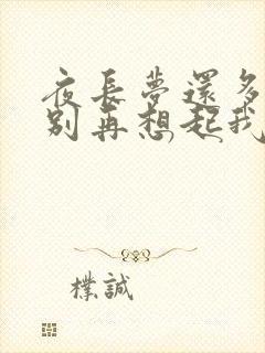 夜长梦还多你就别再想起我是什么歌