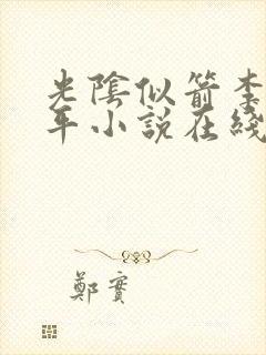 光阴似箭李艳傅平小说在线阅读