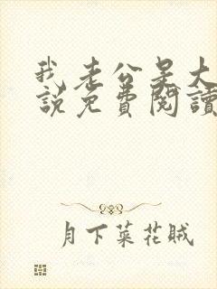 我老公是大佬小说免费阅读