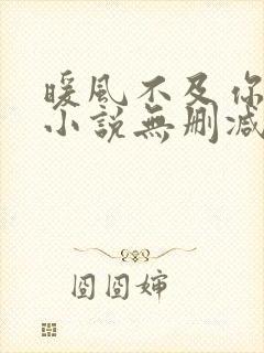 暖风不及你情深小说无删减版