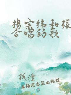 杨宗纬和张碧晨合唱的歌