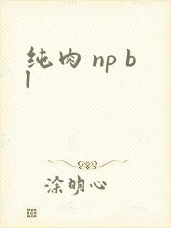 纯肉 np bl