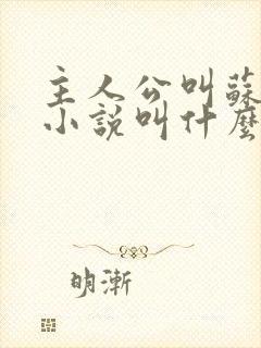 主人公叫苏洛的小说叫什么名字