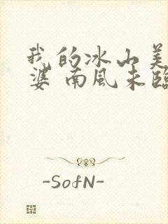 我的冰山美女老婆 南风未临