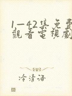 1—42集免费观看电视剧无间
