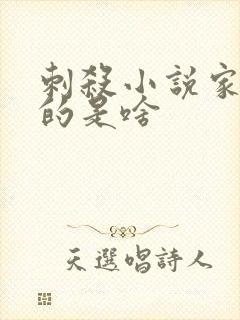 刺杀小说家2讲的是啥