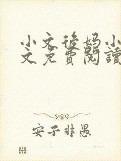 小文后妈小说全文免费阅读最新章节