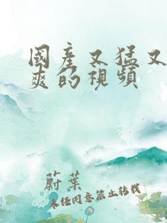 国产又猛又粗又爽的视频