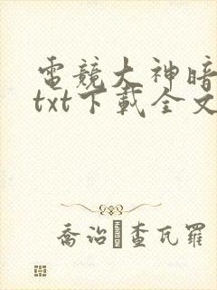 电竞大神暗恋我txt下载全文