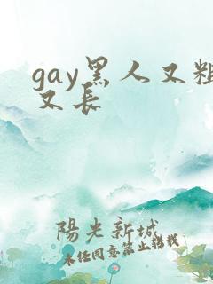 gay黑人又粗又长