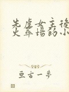 先虐女主后追妻火葬场的小说古言