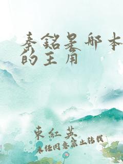 秦铭是哪本小说的主角