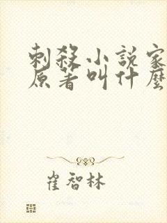 刺杀小说家小说原著叫什么