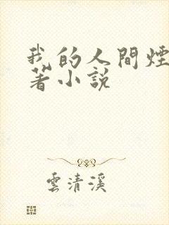 我的人间烟火原著小说