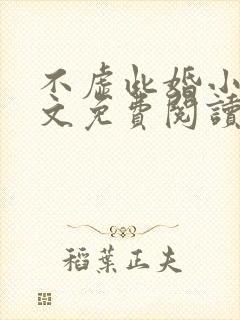 不虚此婚小说全文免费阅读