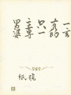 男主只有一个老婆专一的玄幻小说