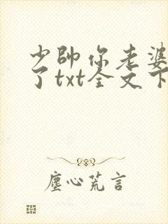 少帅你老婆又跑了txt全文下载