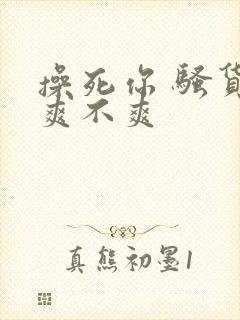 操死你 骚货 爽不爽