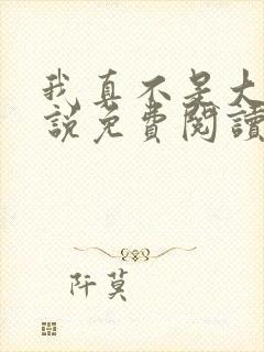 我真不是大佬小说免费阅读