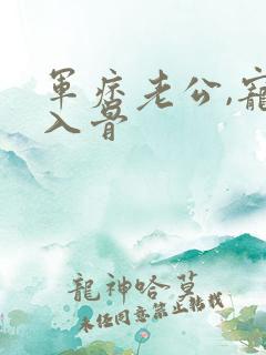 军痞老公,宠妻入骨